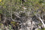 resIMG_20190704_165206_0920.JPG